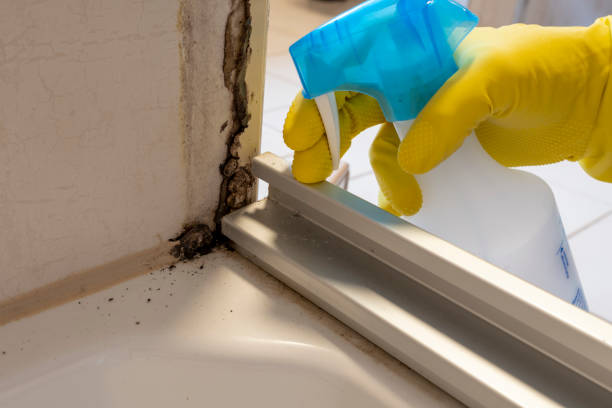 Best Mold Testing  in Waterville, MN