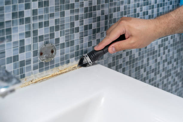 Best Mold Testing  in Waterville, MN
