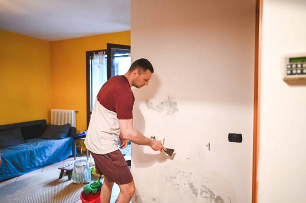Best Commercial Mold Removal  in Waterville, MN