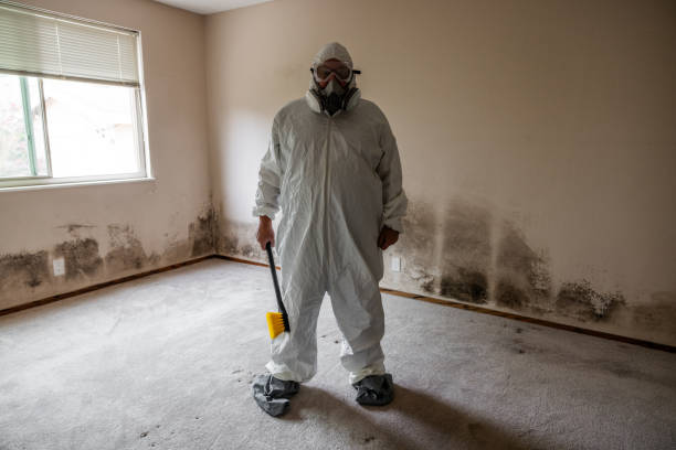 Best Mold Damage Repair  in Waterville, MN